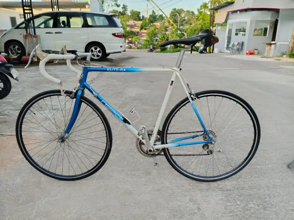 Sepeda Roadbike Repco Elite RX 54