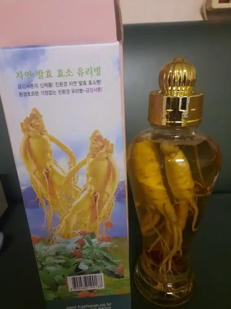Ginseng korea asli