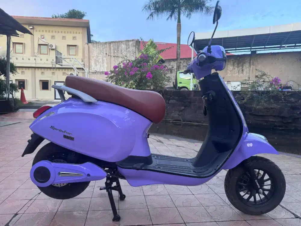 Sepeda motor listrik molis