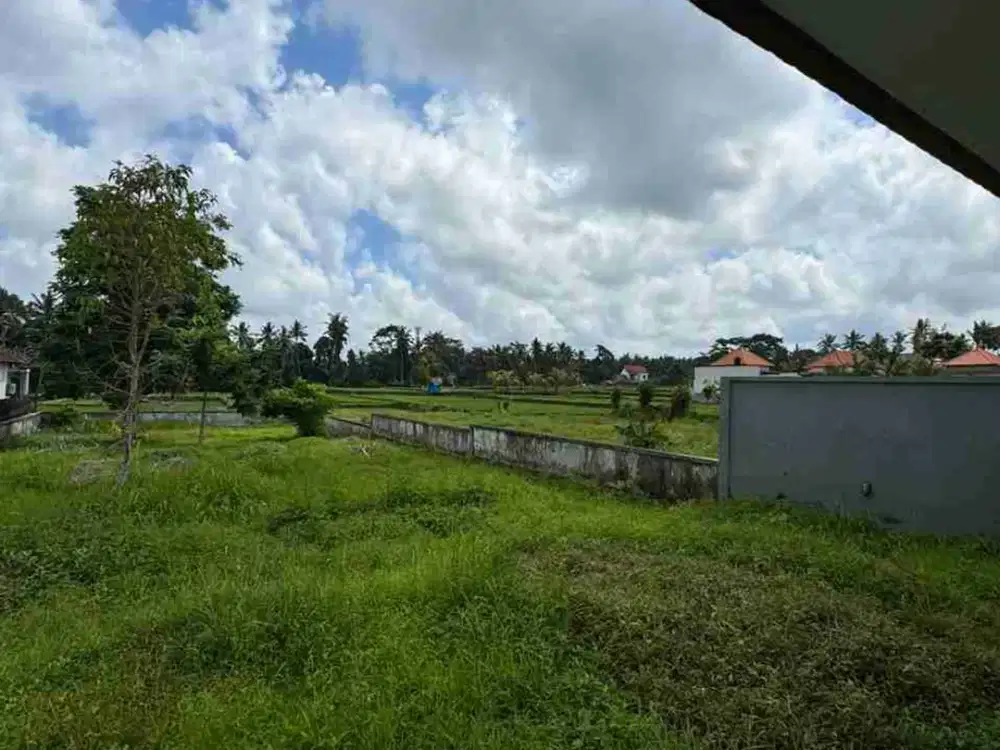 Tanah View Sawah Abadi Bonus Rumah Style Vila di Ubud