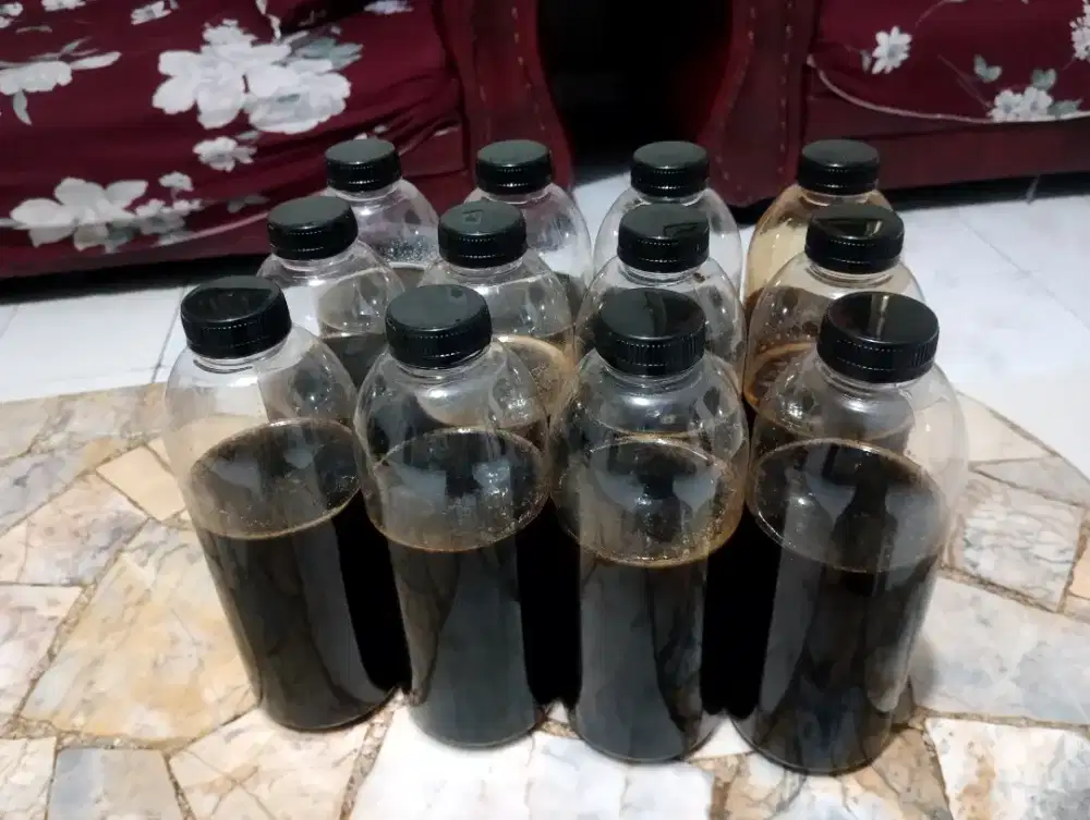 Madu lebah hutah akasia riau