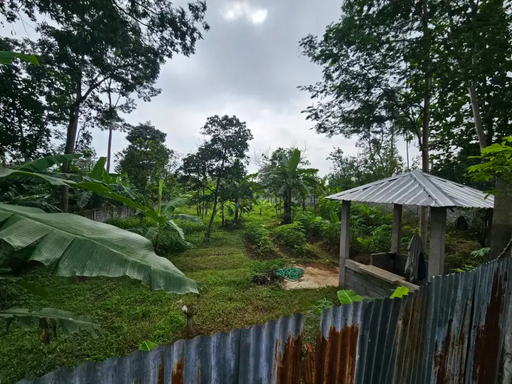 di Jual Lahan Pekarangan (kuning)