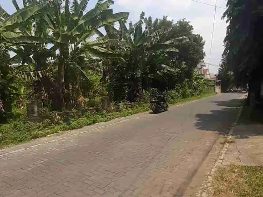 tanah disewakan di banyumanik, jln mulawarman
