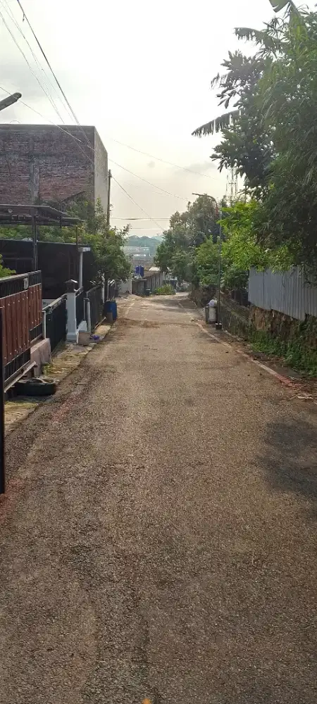 Rumah Beringin Ngaliyan