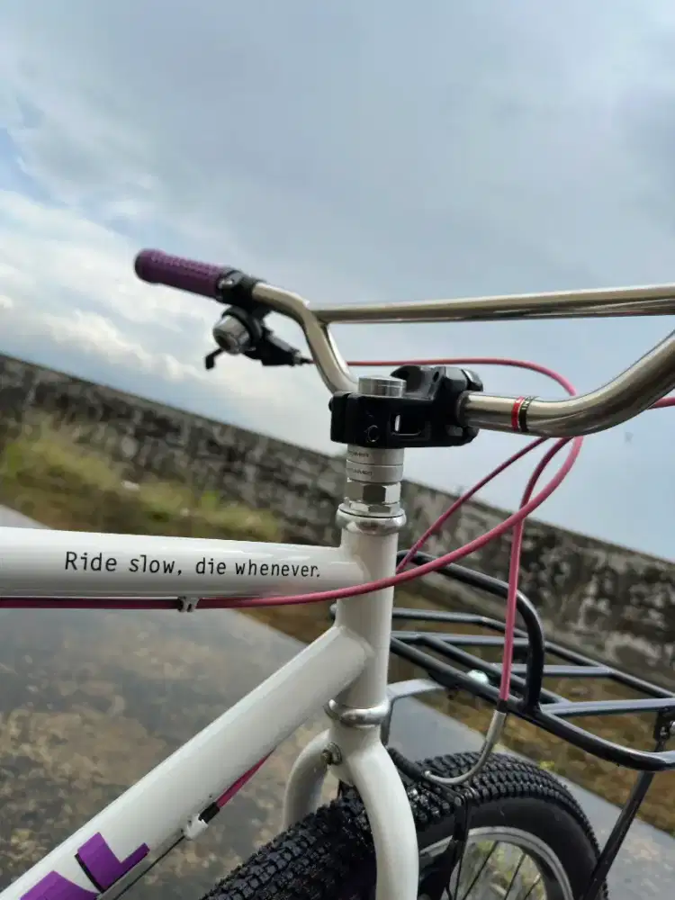 Sepeda federal street cat