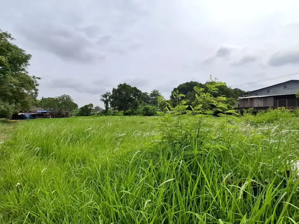 Tanah untuk Gudang Harga Di Bawah NJOP 5 Menit dari Tol Buaran Tangerang