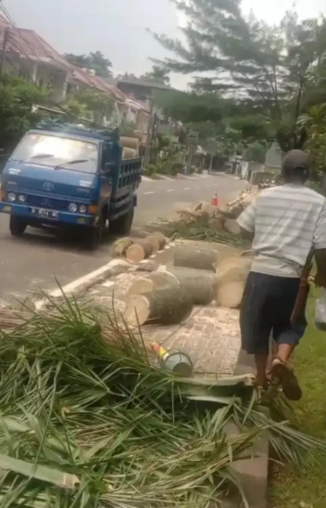 Tebang Pohon, Jasa buang Puing,sampah,kayu ( dll, lihat deskripsi)