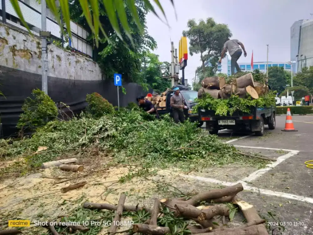 Tebang Pohon, Jasa buang Puing,sampah,kayu ( dll, lihat deskripsi)