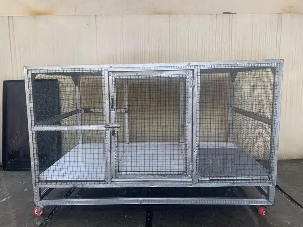 Ready : Kandang Kucing Almini / Kandang Burung