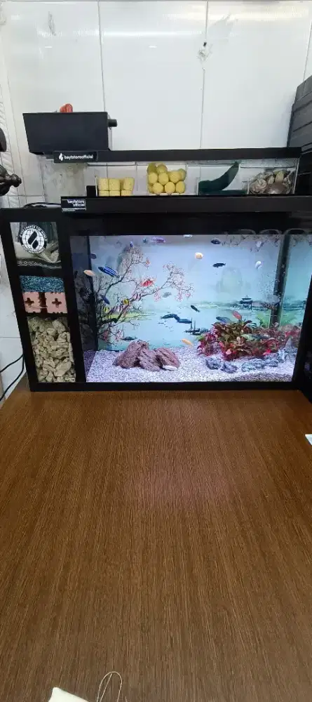 Aquarium full set   lebar 65 ×30 tinggi 40