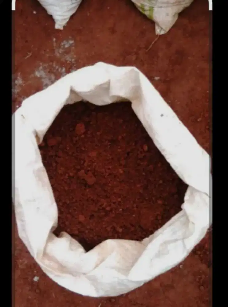 Tanah merah karungan