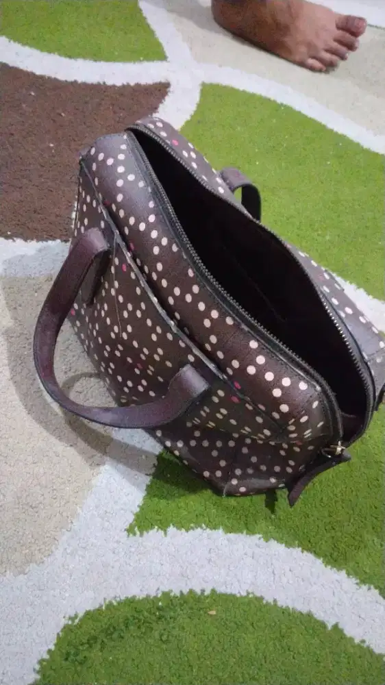 Tas Fossil - HSC 2025