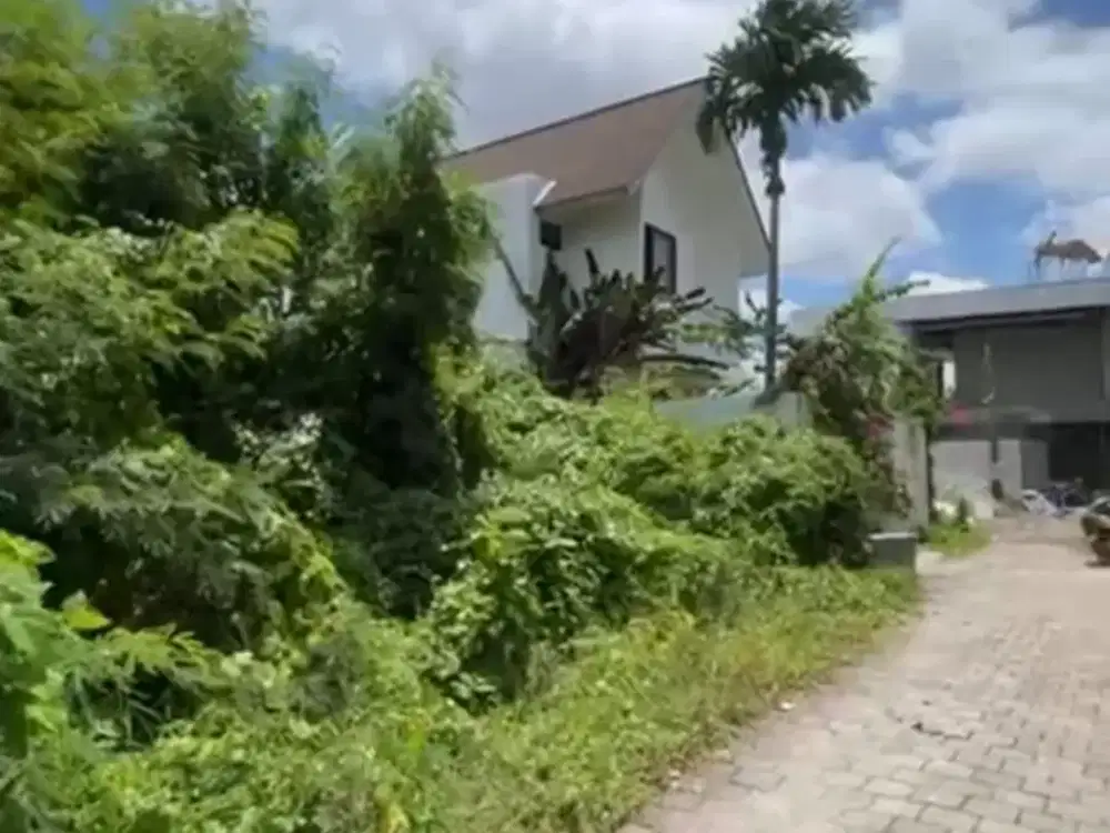 Dijual Tanah Kavling Munggu Seseh Bali – 1,5 Are, Hook, SHM, Zona Kuning, Lingkungan Villa