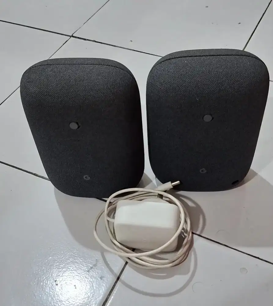 2 unit speaker google nest