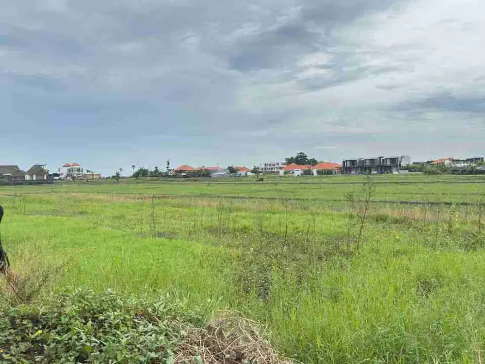 Tanah View Sawah dan Sunset Dekat Pantai Seseh Bali