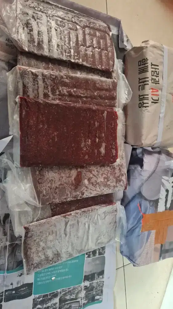 Pak Ikan Cacing Beku