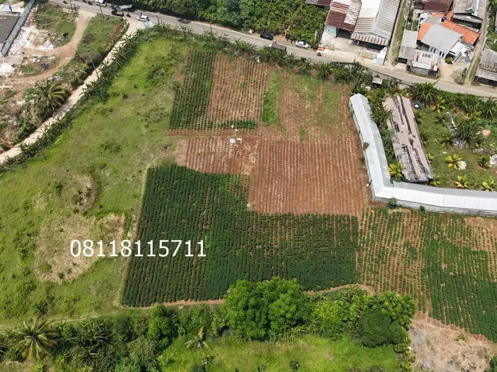 Disewakan Lahan di Gunung Sindur Bogor