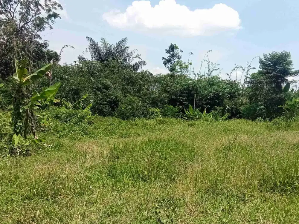 Tanah 20 Ha, Cocok U/ Peternakan Sapi, Ayam Petelor, Dll. Pondok salam, Purwakarta.