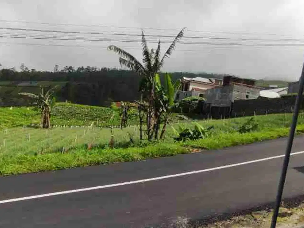 Tanah strategis Tepi jl raya lama gondosuli tawangmangu view terbaik