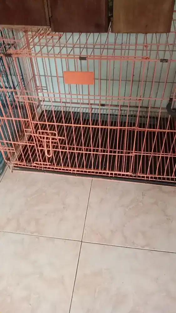 Kandang kucing. Anjing atau kelinci