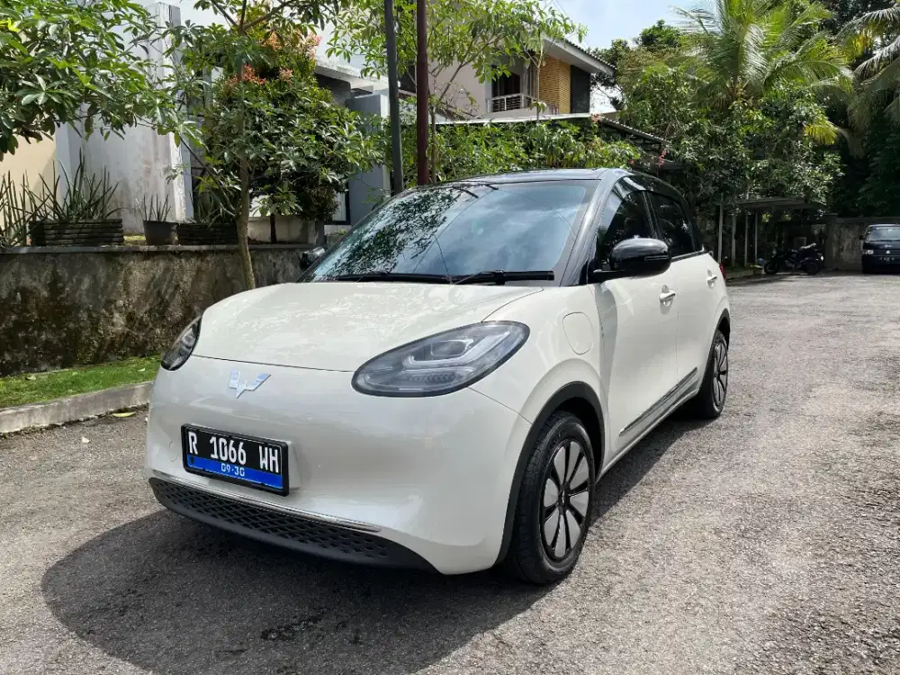 Wuling Binguo EV 410 Premium 2025