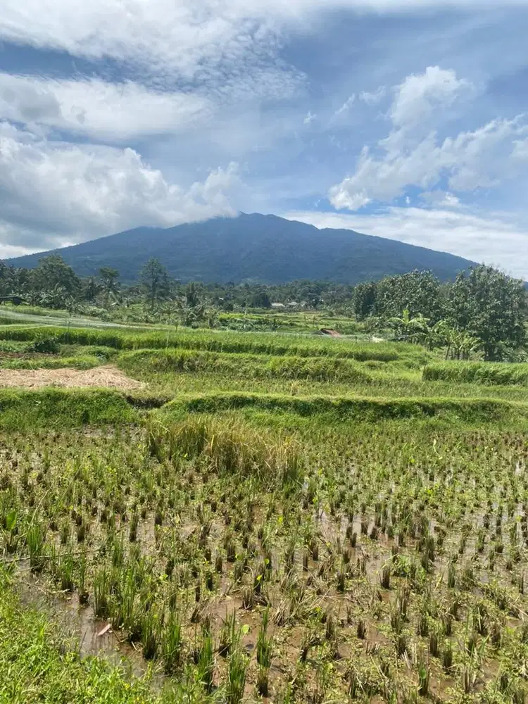 Lokasi d jual kawasan villa view gunung slak lepas di bogor selatan