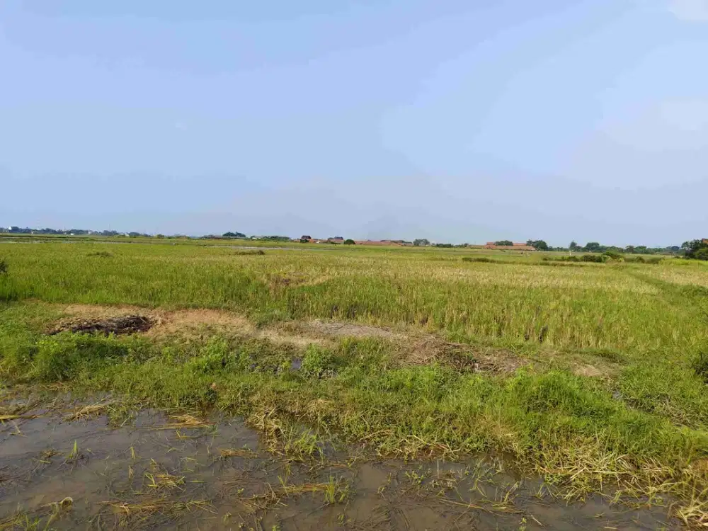 Di Jual Tanah Zona Industri Cikarang Timur