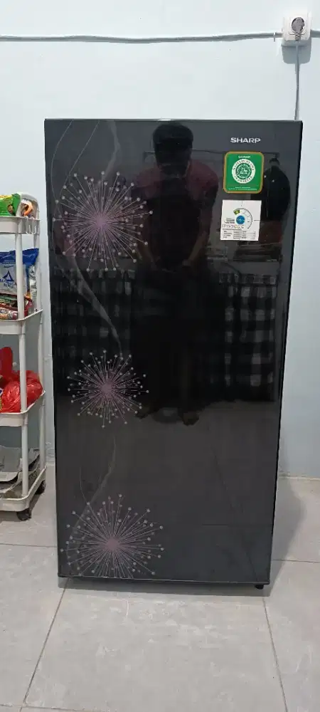 Fast Kulkas Sharp 1 Pintu