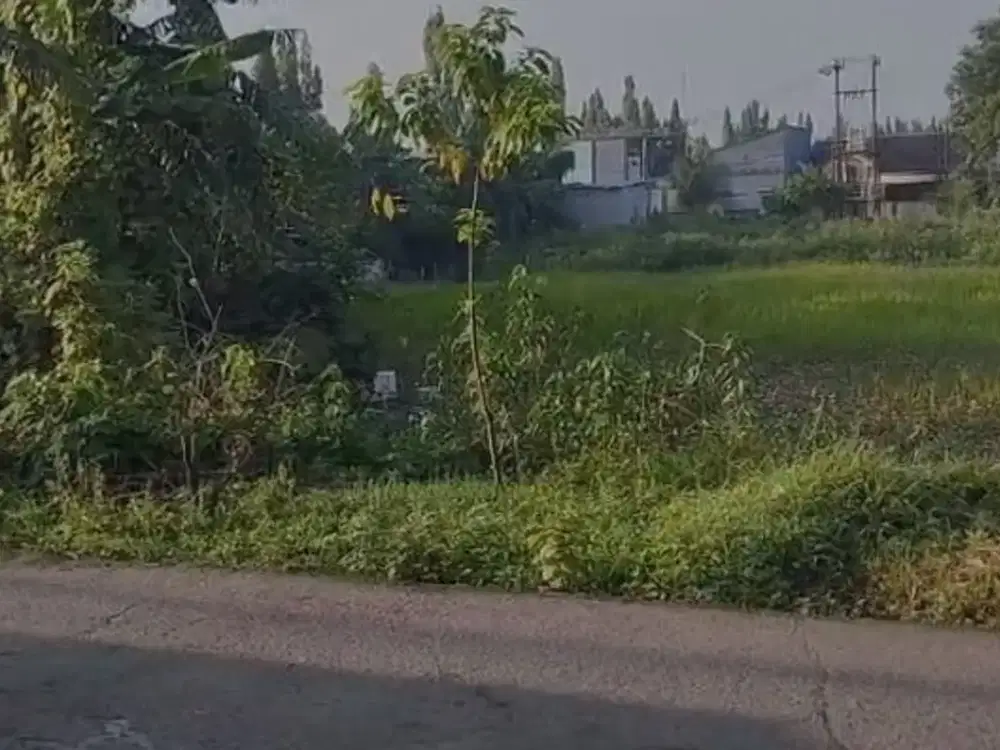 DIJUAL TANAH DI JALAN BAWANG RAYA BEKASI TIMUR