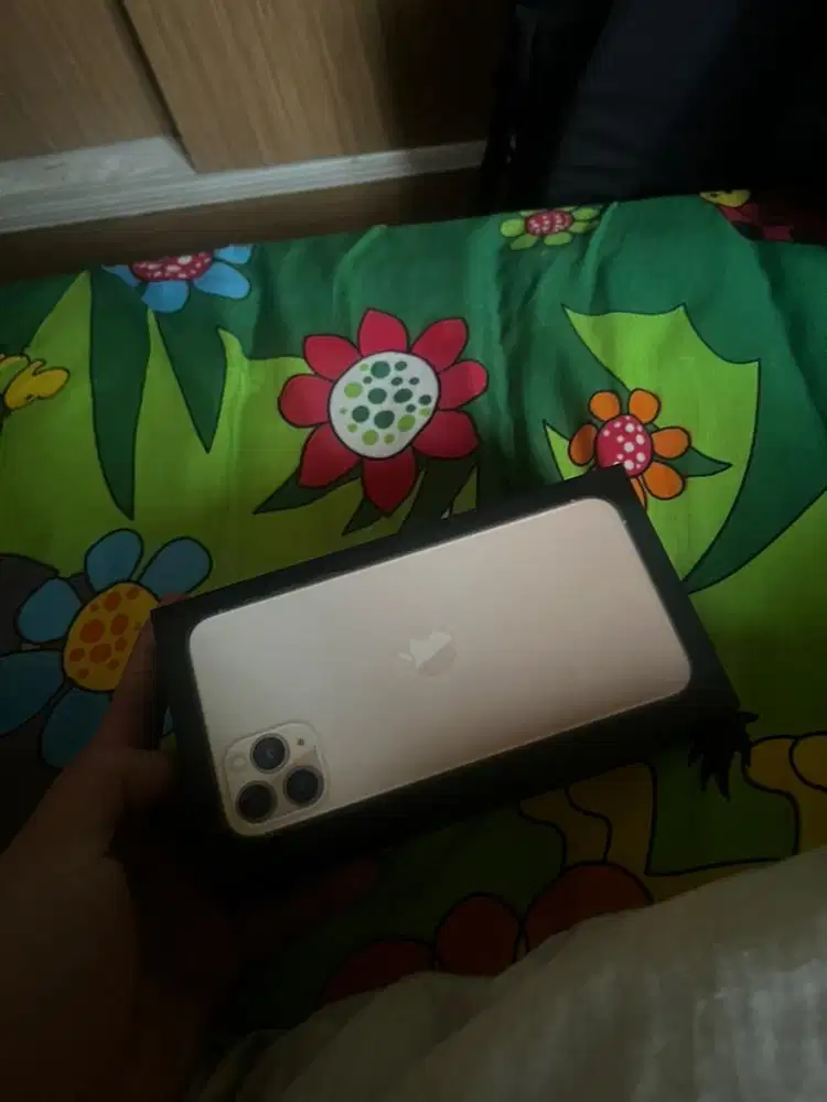 Iphone 11 Promax 256 gb