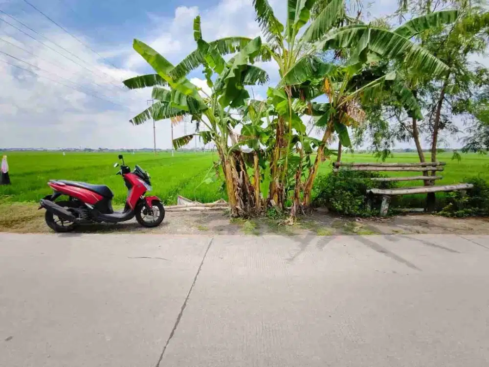 Dijual via lelang tanah murah di kepuh anyar  Mojoanyar Mojokerto