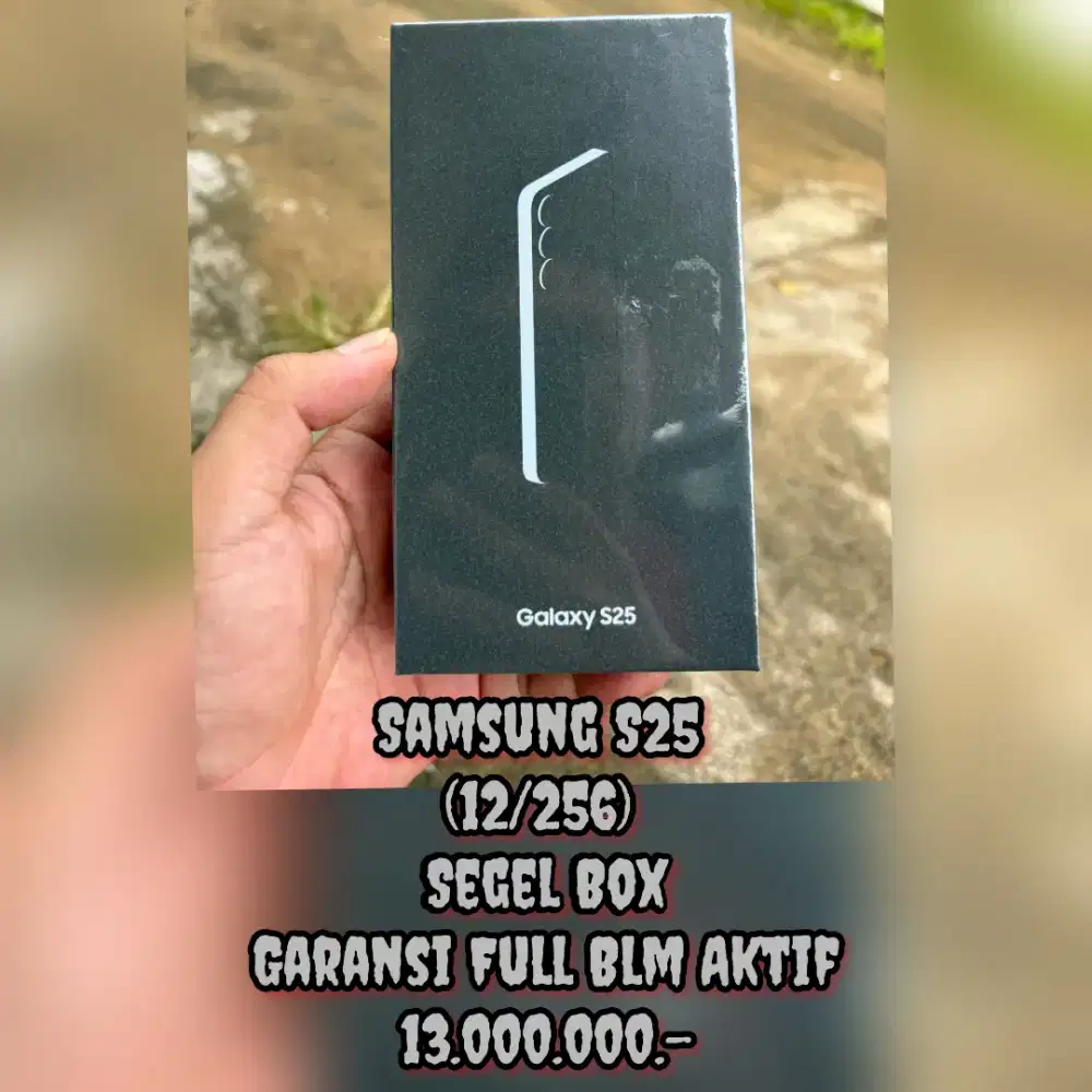 Samsung S25 (12/256) Segel Box