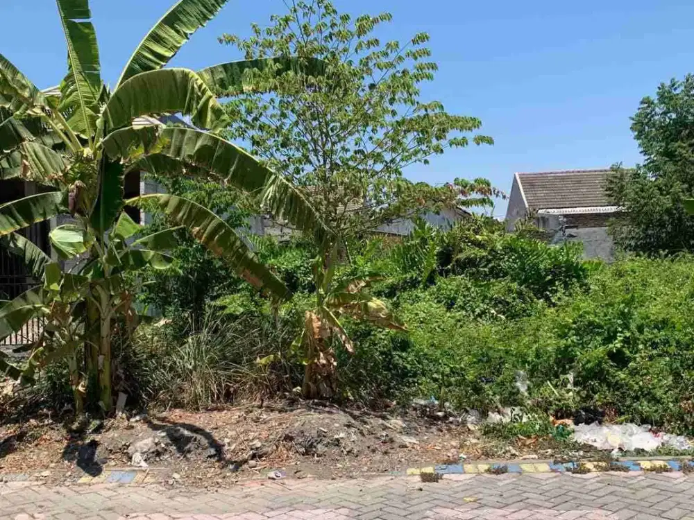 KAVLING MURAH MEDAYU ROW 2 MOBIL PAVING DKT UPN, MERR OERR, AKSES TOL WARU, JUANDA, RUNGKUT, GUNUNGANYAR