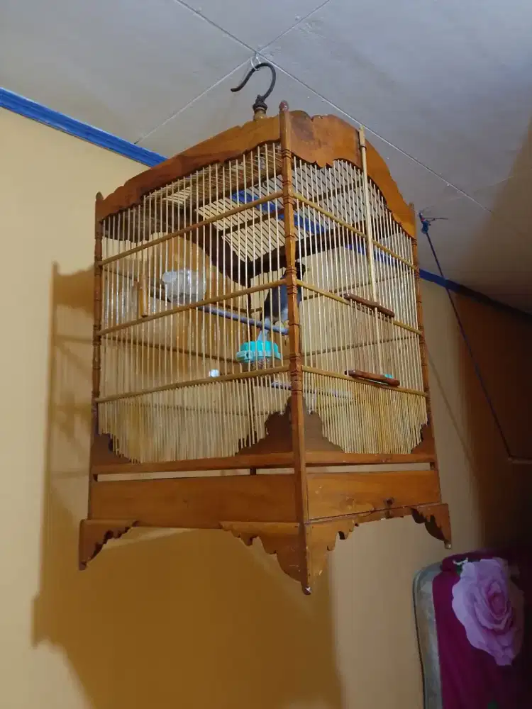 Sangkar burung bahan jati size no 1