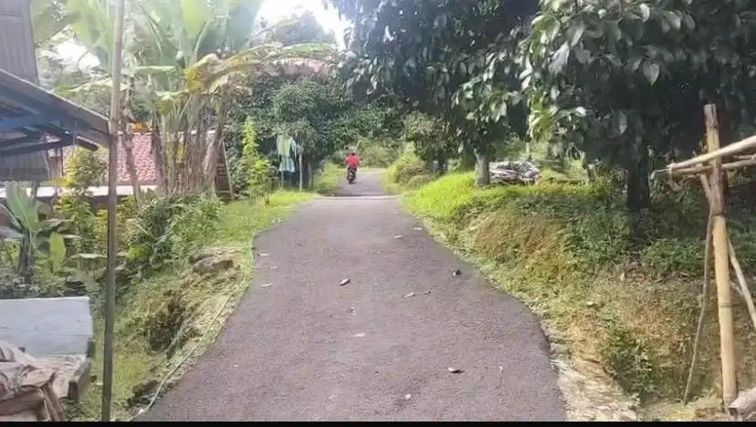 Kebun manggis duren D bogor barat di jual murah