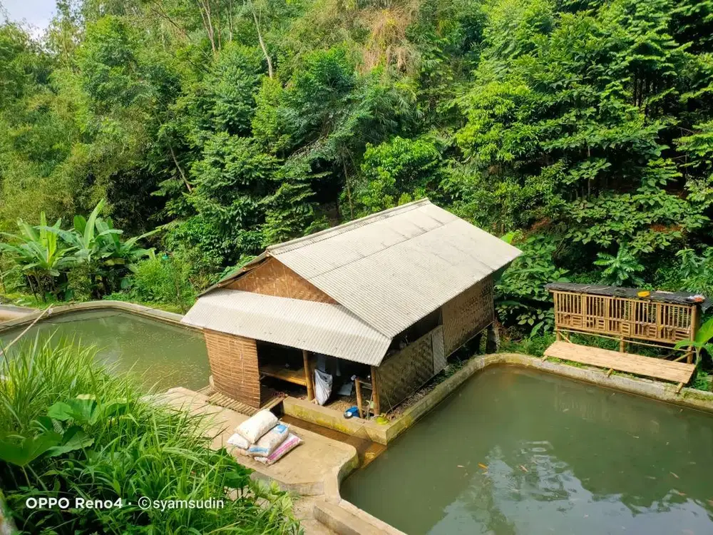 kolam ikan + villa di jual cepat di bogor barat pamijahan