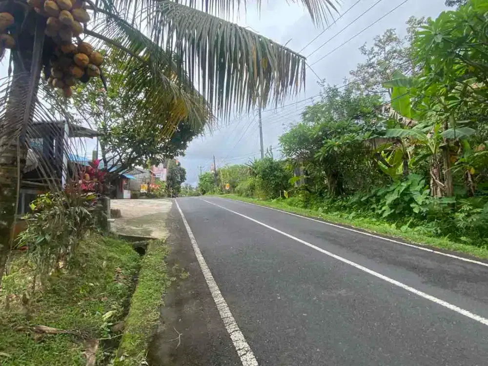 jual tanah selemadeg barat kawasan dingin