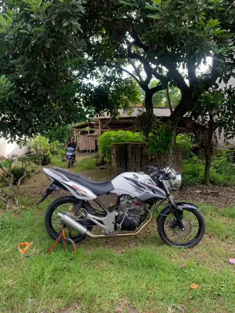 TIGER 2012 ASLI PUTIH