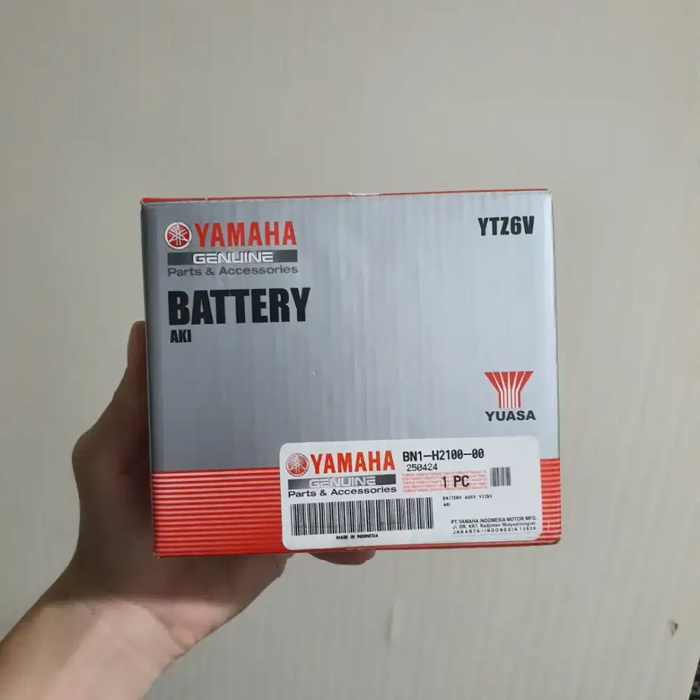 Aki Yamaha Yuasa YTZ6V Original
