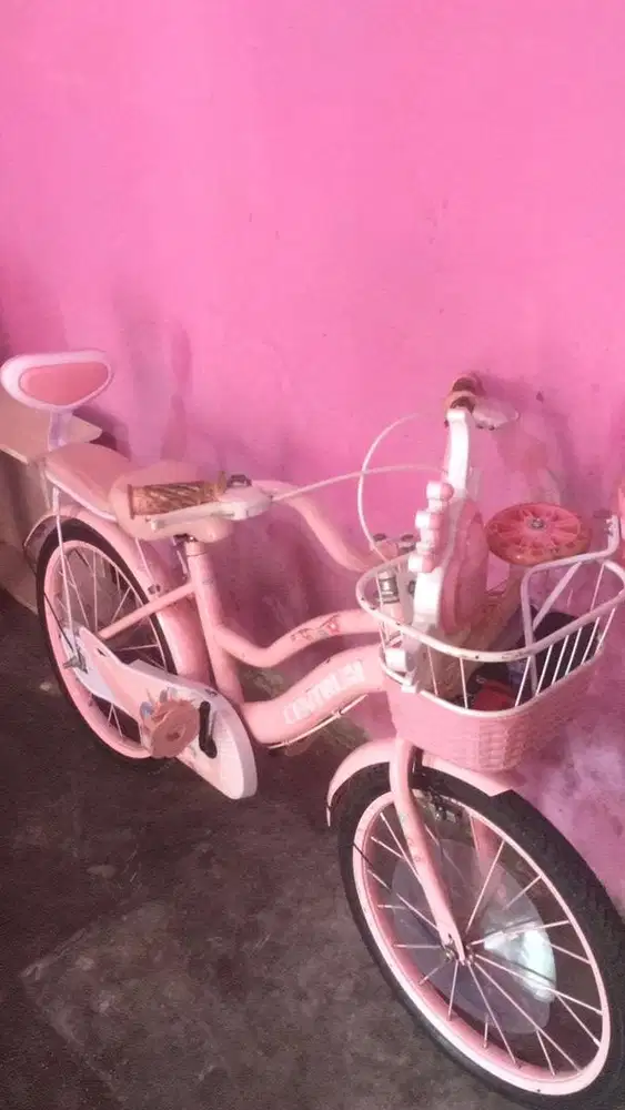 Jual sepeda anak perempuan