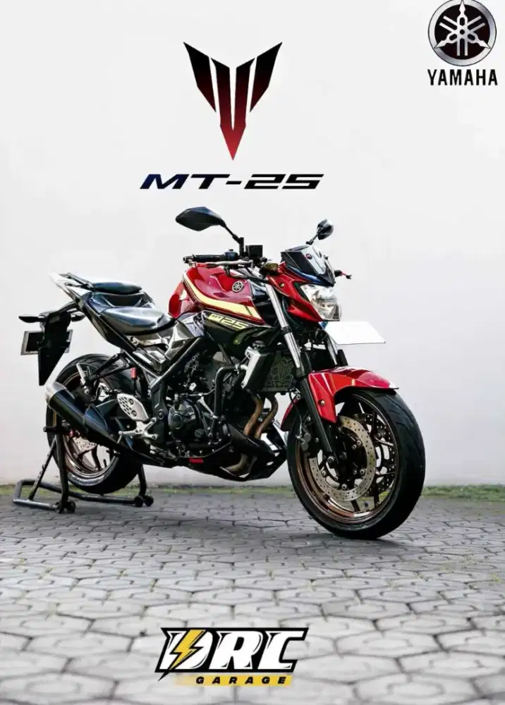 YAMAHA MT 25 2016