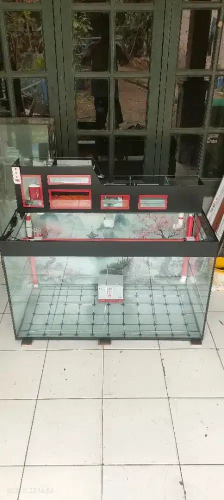 custom aquarium
