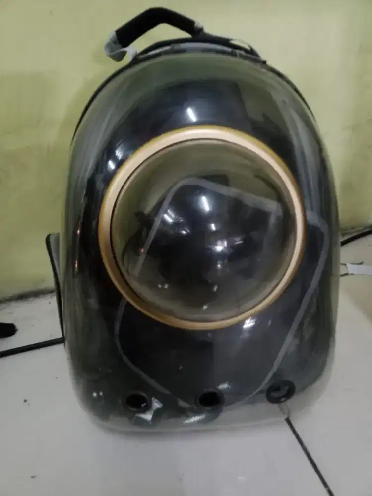 tas kucing fungsional