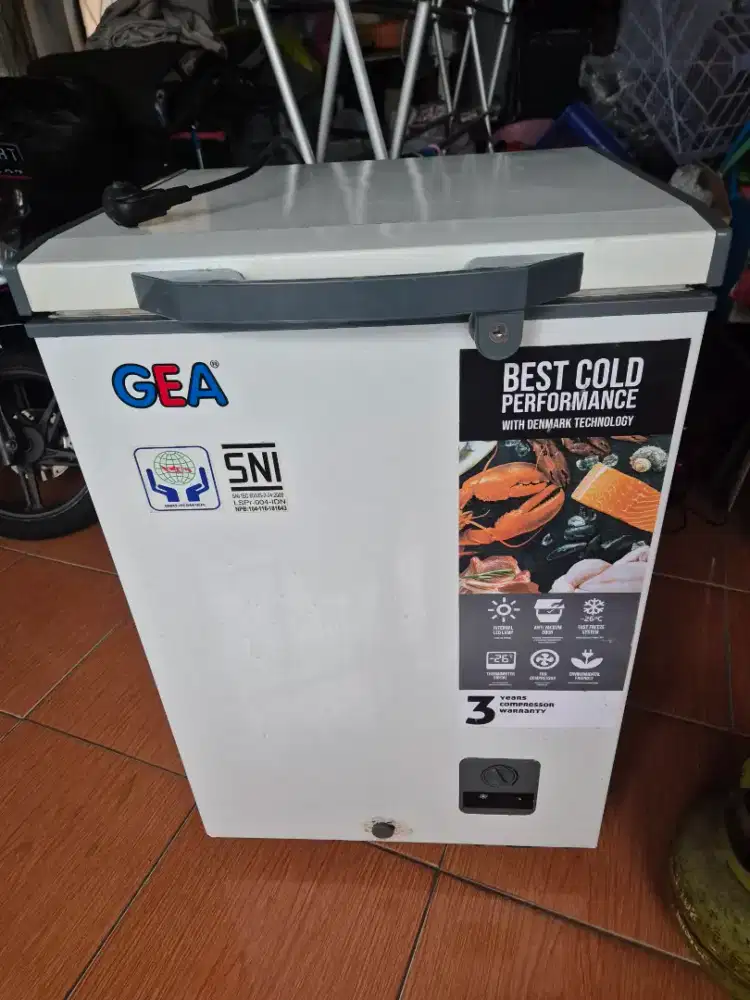 Freezer Box Gea 100 Liter Mulus