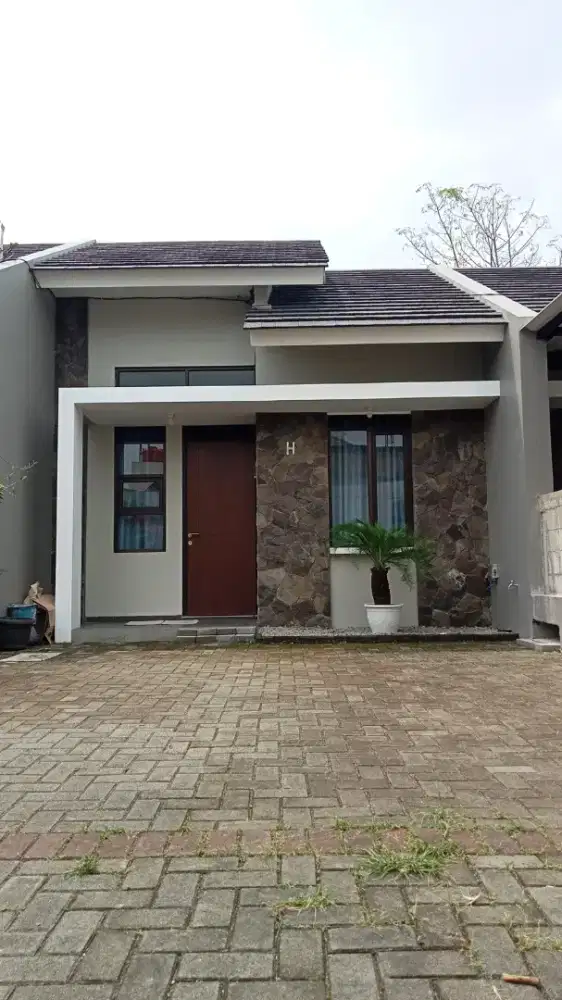 Di kontrakan /disewakan  pertahun  dan perbulan