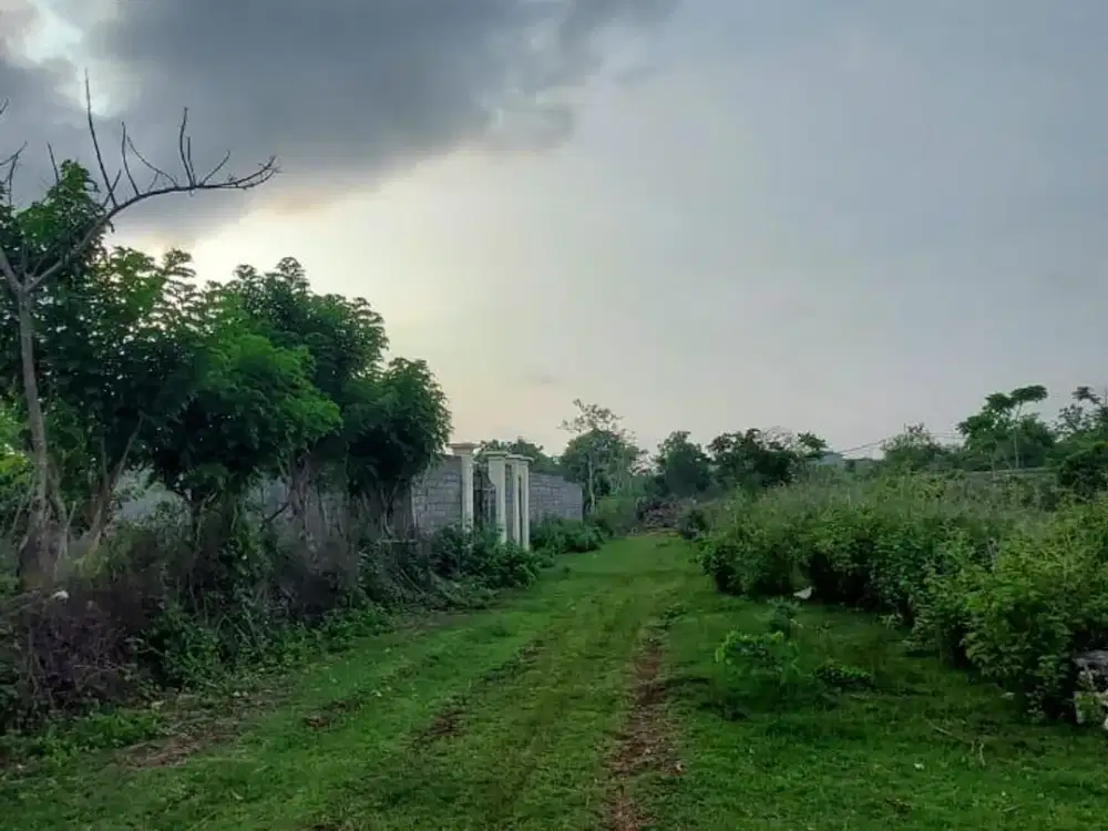 Di jual Lahan tanah kosong lokasi dekat dharmara village jimbaran
