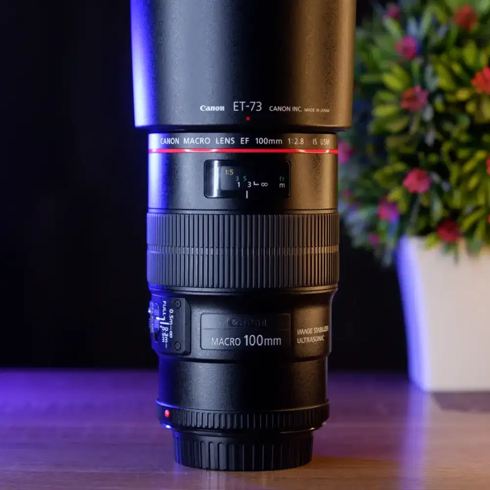 Ceklis Hijau | Lensa L Dslr Canon EF 100mm F2.8 Macro IS USM Pro