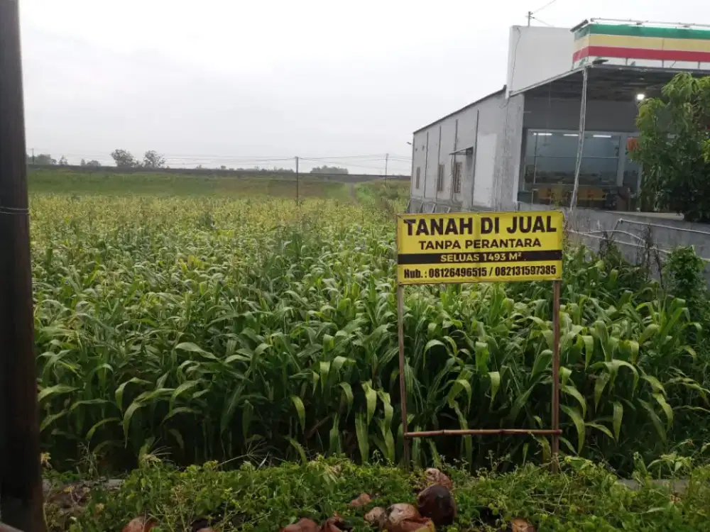 Dijual segera tanah pinggir jalan raya..(HARGA BISA NEGO)