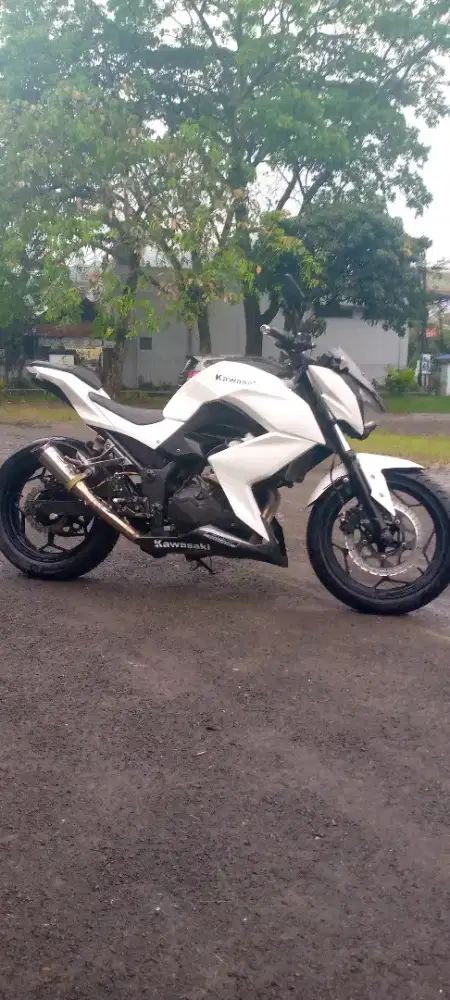 Kawasaki Z250cc