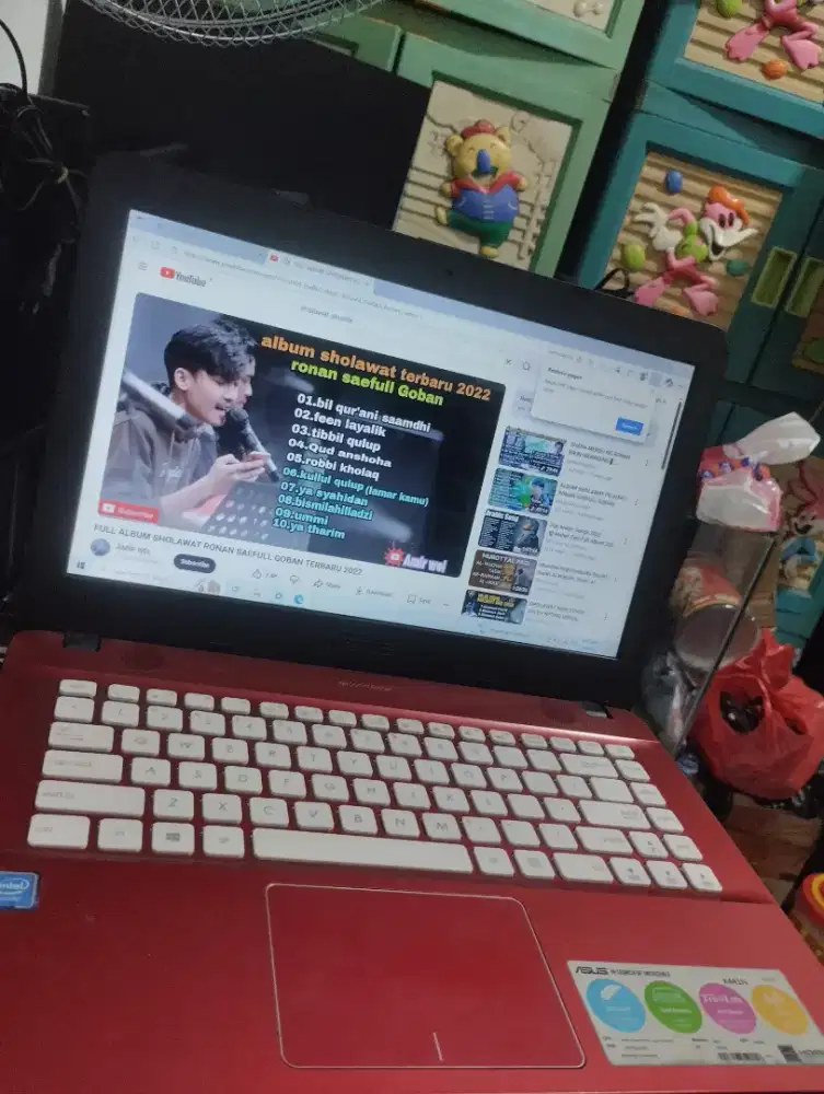 Laptop Asus X441N Ram 4/500 gb